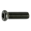 Midwest Fastener #8-40 x 1/2 in Torx Oval Machine Screw, Black Oxide Steel, 8 PK 32979